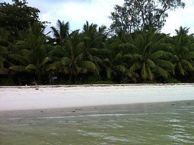 La Colombe D'Or Villa Grand' Anse Buitenkant foto